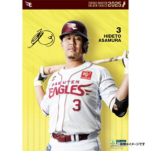 yCkVEUEo[Qz2025NIǊ|J_[#3󑺉hlsyVC[OXt