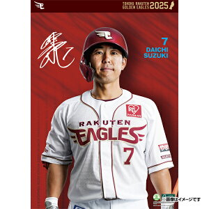 yCkVEUEo[Qz2025NIǊ|J_[#7ؑnsyVC[OXt