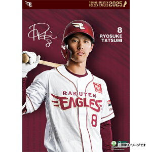 yCkVEUEo[Qz2025NIǊ|J_[#8CȗsyVC[OXt