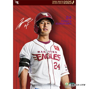 yCkVEUEo[Qz2025NIǊ|J_[#24jzsyVC[OXt