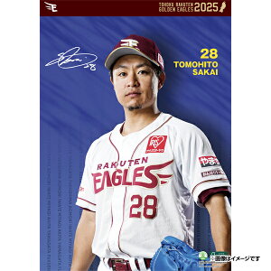 yCkVEUEo[Qz2025NIǊ|J_[#28mjsyVC[OXt