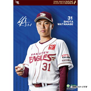 yCkVEUEo[Qz2025NIǊ|J_[#31nđsyVC[OXt