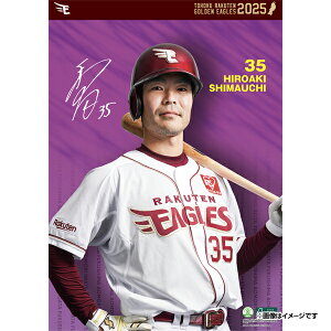 yCkVEUEo[Qz2025NIǊ|J_[#35GsyVC[OXt