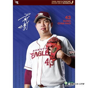 yCkVEUEo[Qz2025NIǊ|J_[#43vƍsyVC[OXt