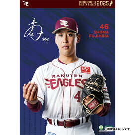 楽天市場】 ○選手別アイテム > 投手[#40〜] > #46藤平尚真 : 楽天 