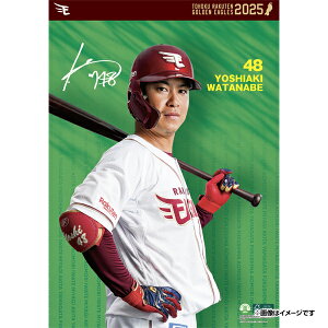 yCkVEUEo[Qz2025NIǊ|J_[#48n粉syVC[OXt