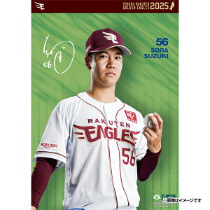 yCkVEUEo[Qz2025NIǊ|J_[#56ēVsyVC[OXt