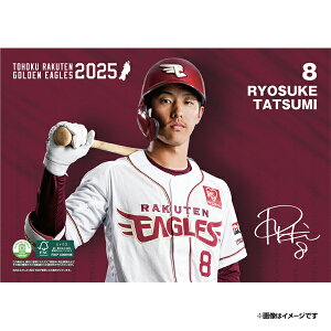 yCkVEUEo[Qz2025NIJ_[#8CȗsyVC[OXt