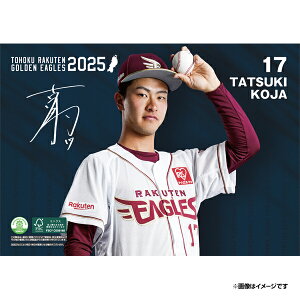 yCkVEUEo[Qz2025NIJ_[#17ÎӎsyVC[OXt