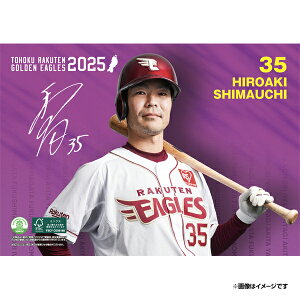 yCkVEUEo[Qz2025NIJ_[#35GsyVC[OXt