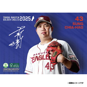 yCkVEUEo[Qz2025NIJ_[#43vƍsyVC[OXt