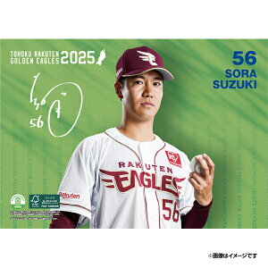 yCkVEUEo[Qz2025NIJ_[#56ēVsyVC[OXt