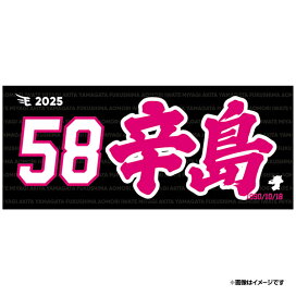 楽天市場】 ○選手別アイテム > 投手[#40〜] > #58辛島 航 : 楽天 