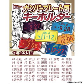 【Eコレ】2025ナンバープレート風キーホルダー【全35種】《楽天イーグルス》