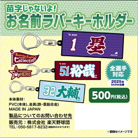 【Eコレ】2025お名前ラバーキーホルダー【全選手対応】《楽天イーグルス》