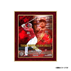 楽天市場】 ○受注終了商品 : 楽天イーグルスオンラインショップ