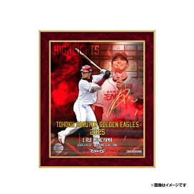楽天市場】 ○受注終了商品 : 楽天イーグルスオンラインショップ