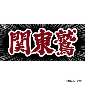 【受注生産】【ヒトコトタオルイーグルス2026】関東鷲【9月中旬以降発送予定】《楽天イーグルス》【0717ヒトコト再】