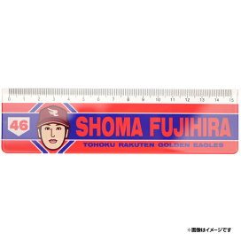 楽天市場】 ○選手別アイテム > 投手[#40〜] > #46藤平 尚真 : 楽天 