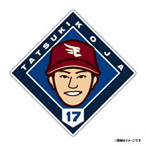 楽天市場】楽天イーグルス 色紙の通販