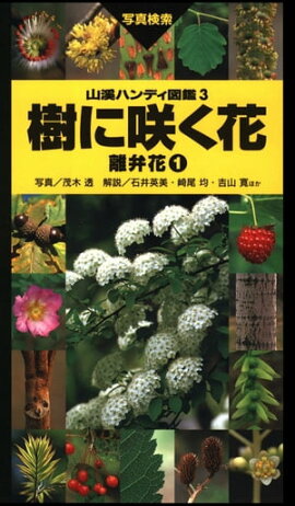 ヤマケイハンディ図鑑3 樹に咲く花 離弁花１ 