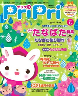PriPri 2017ǯ6 