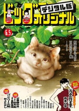 �ӥå����ߥå����ꥸ�ʥ� 2025ǯ11���2025ǯ5��20��ȯ��) 