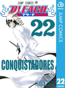 BLEACH モノクロ版 22 