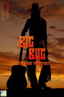 Big Bug