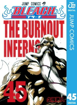 BLEACH モノクロ版 45 
