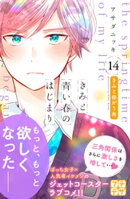 きみと青い春のはじまり　プチデザ（１４）