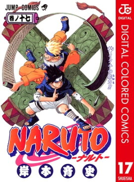 NARUTO���ʥ�ȡ� ���顼�� 17 