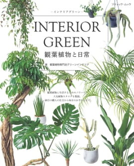 インテリアグリーン観葉植物と日常 
