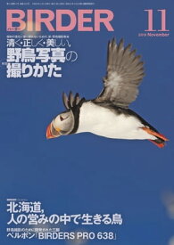 BIRDER2019年11月号【電子書籍】[ BIRDER編集部 ]