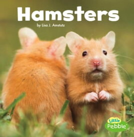 Hamsters【電子書籍】[ Lisa J. Amstutz ]