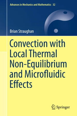 Convection with Local Thermal Non-Equilibrium and Microfluidic Effects 