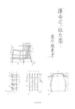 運命に、似た恋