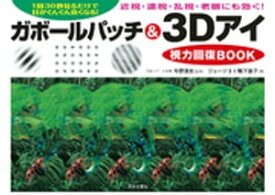 ガボールパッチ＆3Dアイ視力回復BOOK【電子書籍】[ ジョージ3＋鴨下惠子 ]