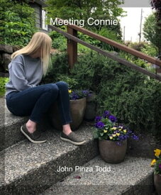 Meeting Connie【電子書籍】[ John C. Todd Jr ]