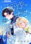 この雪原で君が笑っていられるように【マイクロ】(12)