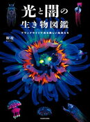 光と闇の生き物図鑑　ブラックライトで光る美しい生命たち
