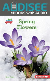 Spring Flowers【電子書籍】[ Katie Peters ]