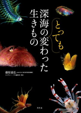 楽天kobo電子書籍ストア ツノゼミ ありえない虫 丸山宗利