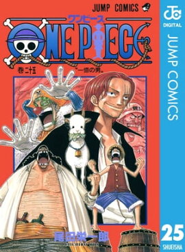 ONE PIECE Υ 25 