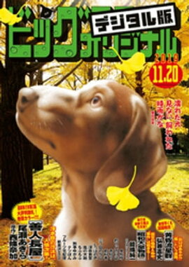 �ӥå����ߥå����ꥸ�ʥ� 2019ǯ22��(2019ǯ11��5��ȯ��) 