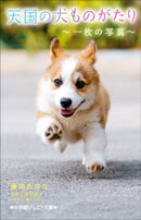 小学館ジュニア文庫　天国の犬ものがたり〜一枚の写真〜