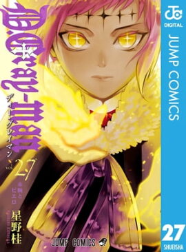 D.Gray-man 27 