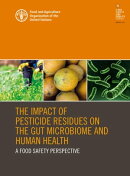 The Impact of Pesticide Residues on the Gut Microbiome and Human Health: A Food Safety Perspective