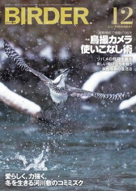 BIRDER2025年12月号【電子書籍】[ BIRDER編集部 ]