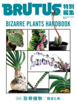 BRUTUS�����Խ������ܡ�����ʪ 